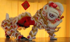 Xia Quan lion